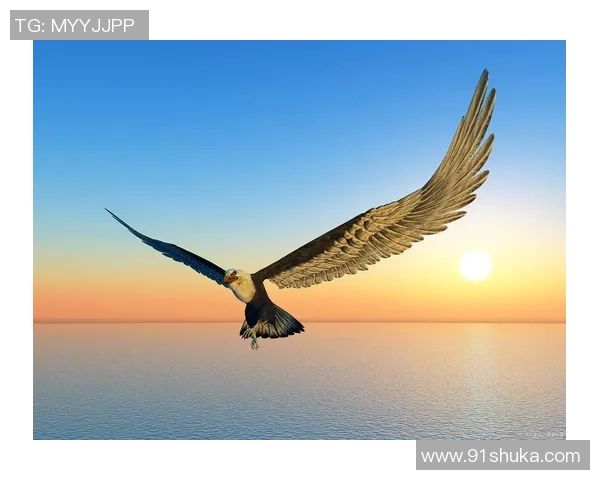 前进之鹰与乌之间的较量展现出勇气与智慧的碰撞与融合